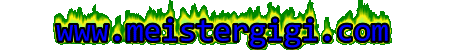 MeisterGigi